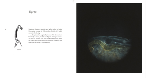 Immortal - Lost Memoirs Of Cornelia Dulac Concerning The Freshwater Polyp Hydra Immortal - Lost Memoirs Of Cornelia Dulac Concerning The Freshwater Polyp Hydra