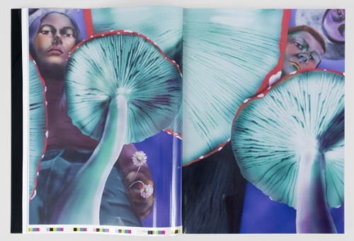 Louisa Gagliardi – Many Moons Louisa Gagliardi – Many Moons