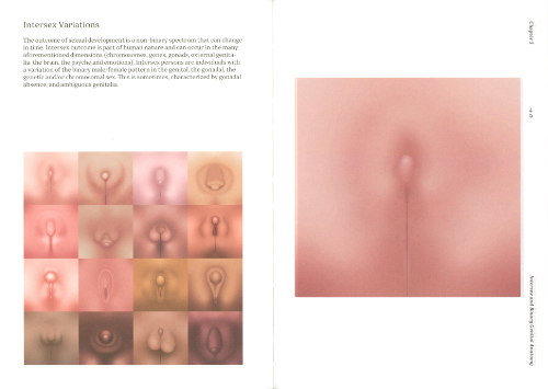 Henry de Vries, Kuang-Yi Ku - Atlas of Queer Anatomy Henry de Vries, Kuang-Yi Ku - Atlas of Queer Anatomy