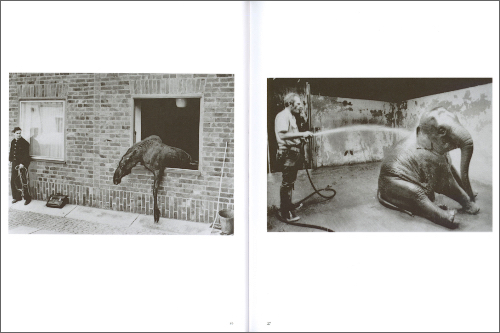 Linda Fregni Nagler - Anger, Pleasure, Fear