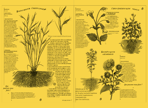 Ex Situ - Plants For a World Waiting to Germinate