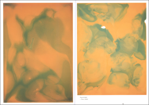 Sandra Capaul: NOW–A Universe in Chapters Sandra Capaul: NOW–A Universe in Chapters