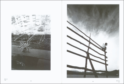 A World of Eikoh Hosoe