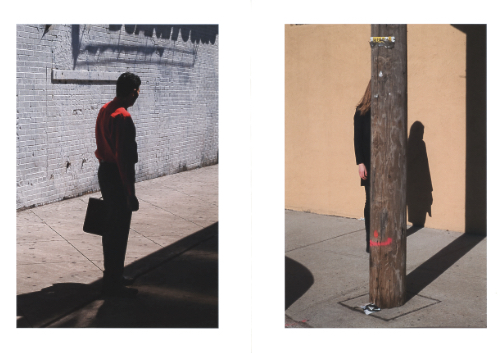 Nicolas Provost - Savage Nicolas Provost - Savage