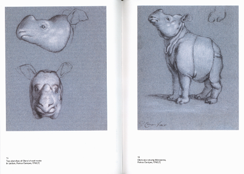 Clara the Rhinoceros Clara the Rhinoceros
