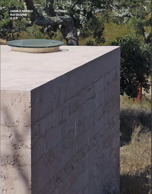 LB 36 Camilo Rebelo promise