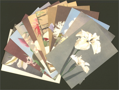 Japanese Flowers: Postcards Japanese Flowers: Postcards