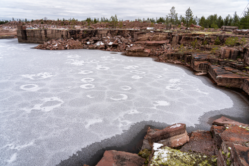 Alvaro Campo - Rewilding Time