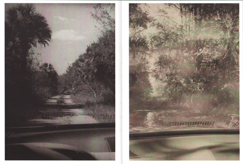 Bert Teunissen - On The Road, Everglades