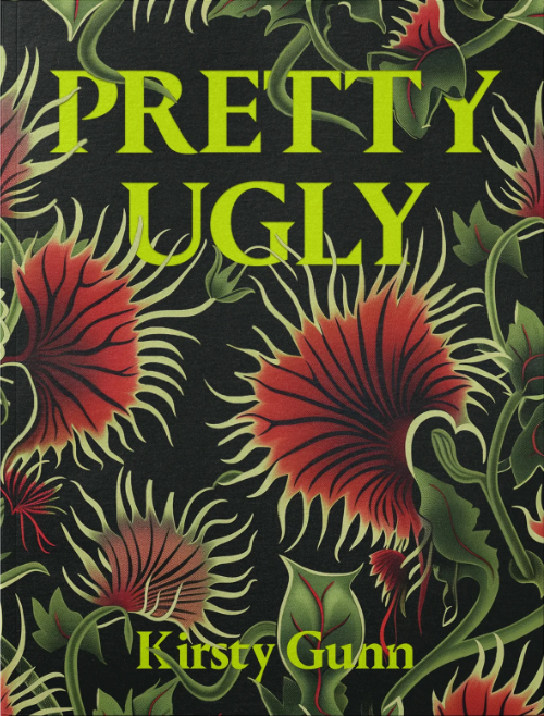 Pretty Ugly by Kirsty Gunn
