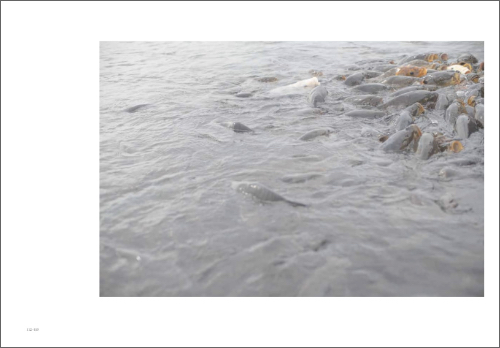 Inhabiting Light – Dialogue on the Edge of the Everyday World Inhabiting Light – Dialogue on the Edge of the Everyday World