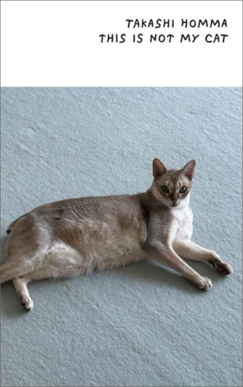 Takashi Homma – This Is Not My Cat