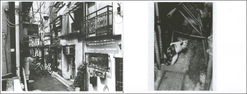 Daido Moriyama – Stray Cats (signed and numbered) Daido Moriyama – Stray Cats (signed and numbered)
