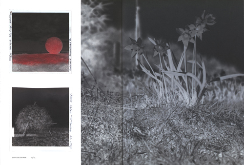 Rein Jelle Terpstra - Dark Dunes Rein Jelle Terpstra - Dark Dunes