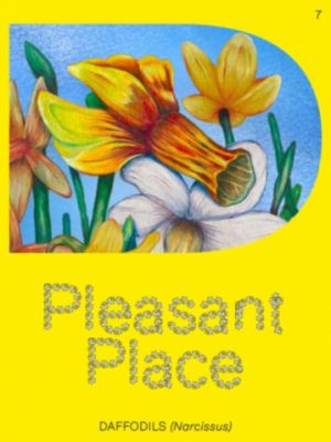 Pleasant Place